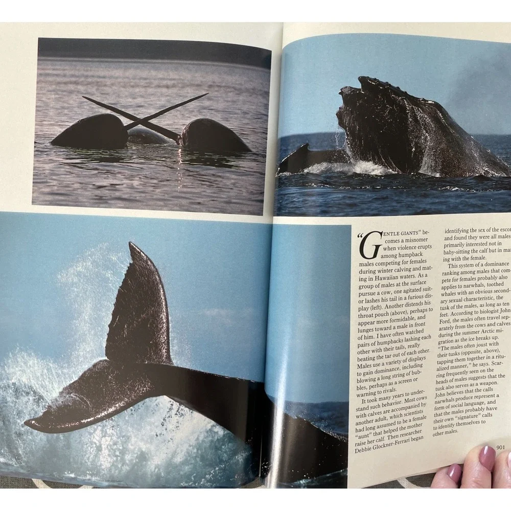 National Geographic Magazine - Hologram Cover December 1988 VOL: 174, NO 6 Good
